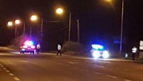 Vehicle seized and two motorists arrested for drug driving in garda operation