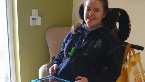 GoFundMe appeal to acquire service dog for Sophie