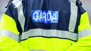 BREAKING: Woman tragically dies in Limerick road crash