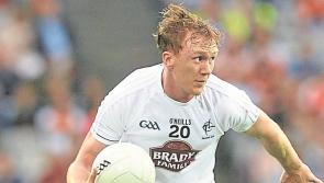 Paul Cribbin makes long awaited return  for Kildare