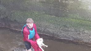 Ding, dong, Pussy's in the well - actually in a canal lock!