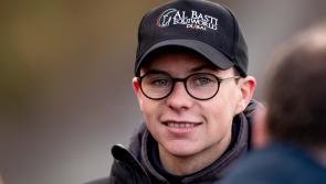 Can Joseph O'Brien bring a prized Punchestown novice hurdle title back to Owning Hill stables?