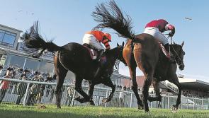 Racing: Postponed Punchestown meeting refixed