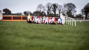 Racing cancelled at Punchestown today