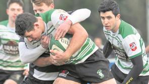 Kildare Rugby:  Naas return to AIL action on Friday