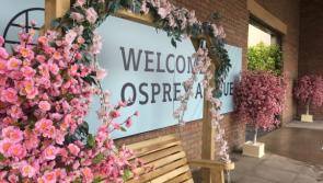 Enjoy the unique shopping experience of the Osprey Avenue at Punchestown