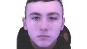 Gardaí seek the public's assistance in locating missing 15 year old