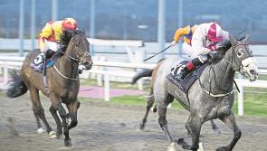 Horse Racing to go ahead, behind closed doors