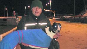 Newbridge dogs: Unlocked, Unlocked gets up on the line