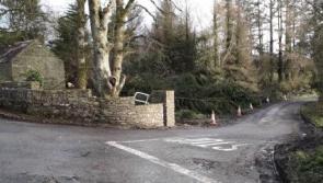 Cllr welcomes road markings at dangerous rural junction in South Kildare 