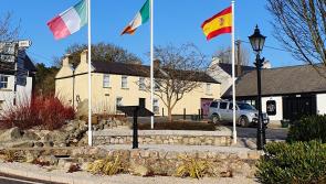Kildare village shows solidarity with  fellow Europeans - and flags' photo goes viral!