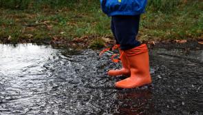 KILDARE WEATHER FORECAST: Weekend to slowly become milder but one day is not looking good weather wise