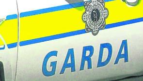 Male juveniles who rammed Garda car appear before children's court