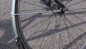 Bicycle taken from outside Newbridge home 