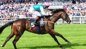Racing: GAIN sponsorship boost for Curragh