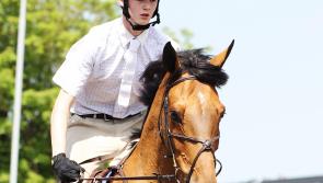 Equestrian:  Grand Prix returns to Kildare this Sunday