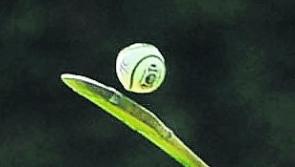 Camogie: Kildare drawn in Group 1 in Camogie Championship