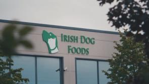 LATEST: 150 new jobs to be created by company based in Naas, County Kildare