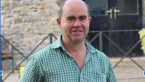 Call for pedestrian crossing on Naas ring road