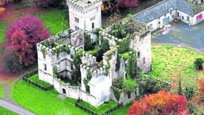 Failte Ireland  funding for Donadea Forest Park and Emily Square, Athy 