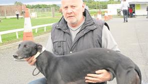 Newbridge: Stepping up in trip no problem for Blue Devon