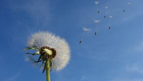 We hear a lot about resilience these days but what exactly is it and how can we develop more of it?