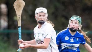 Camogie: Kildare outgunned by Laois in second half
