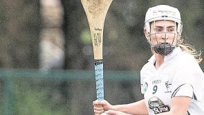 Camogie: Kildare go down to Derry