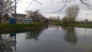 Kildare canal jetty should be brought back to use