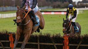 Naas Races: Bob Olinger takes the honours in Lawlor's Of Naas Novice Hurdle