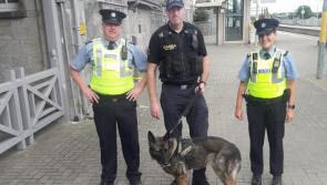 Newbridge and Kildare town drug addicts using trains to get Covid-19 Dublin lockdown fix 