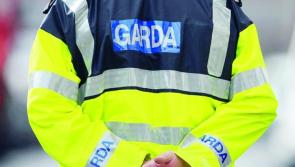 Garda issue appeal after four dogs stolen from a house in midlands