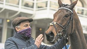 Full Cheltenham results as Ireland capture six of the seven races