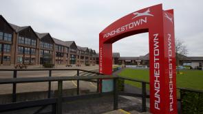 KILDARE: Man assaulted at Punchestown racing festival - claim