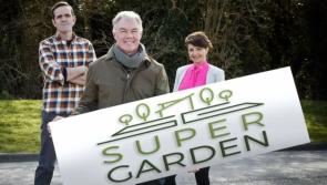 RTE looking for garden designers for new Super Garden series 