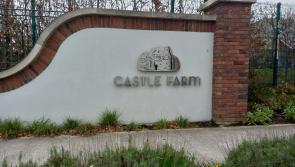 Man's nose and toe were broken in Naas assault - claim