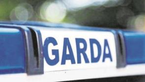 Cars broken into in Naas housing estate