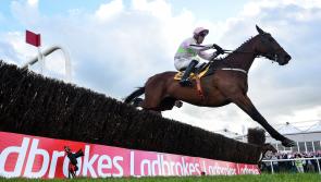PUNCHESTOWN TIPS: The best bets for Day 1 of Punchestown 
