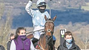 Punchestown week: No passing Rachael and Honeysuckle