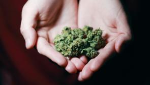 Cannabis is ‘gravest threat to young Irish people’s mental health’, warns College of Psychiatrists Ireland