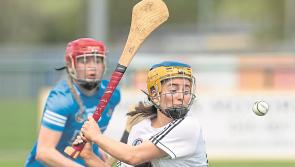Camogie: Kildare too strong for Dublin