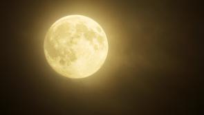 Something special in the night sky - stunning 'Flower Supermoon' will be visible over Kildare tonight