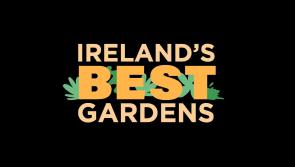 Are you Ireland and Kildare's best gardener? - RTE show seeks to find out 