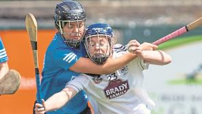 Westmeath are Kildare's camogie opponents this weekend