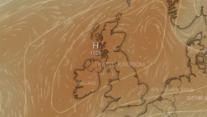Could it be a sizzling summer in Kildare?