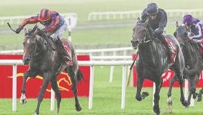 Kildare Racing: Ticket arrangements for Dubai Duty Free Irish Derby released