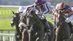 Irish Derby: 17 runners declared