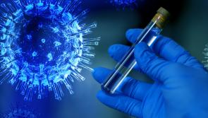 New study shows rapid spread rate of Delta variant; authors stress importance of vaccines