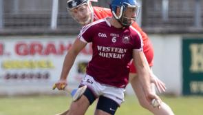 Kildare GAA: Leixlip shock Coill Dubh in SHC Relegation final