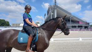 Kildare Olympian Heike Holstein misses out on dressage final place
